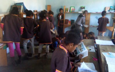 Une bibliothèque villageoise à Ampefy approvisionnée en livres